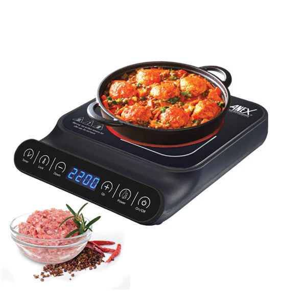 Anex Deluxe Hot Plate AG-2166